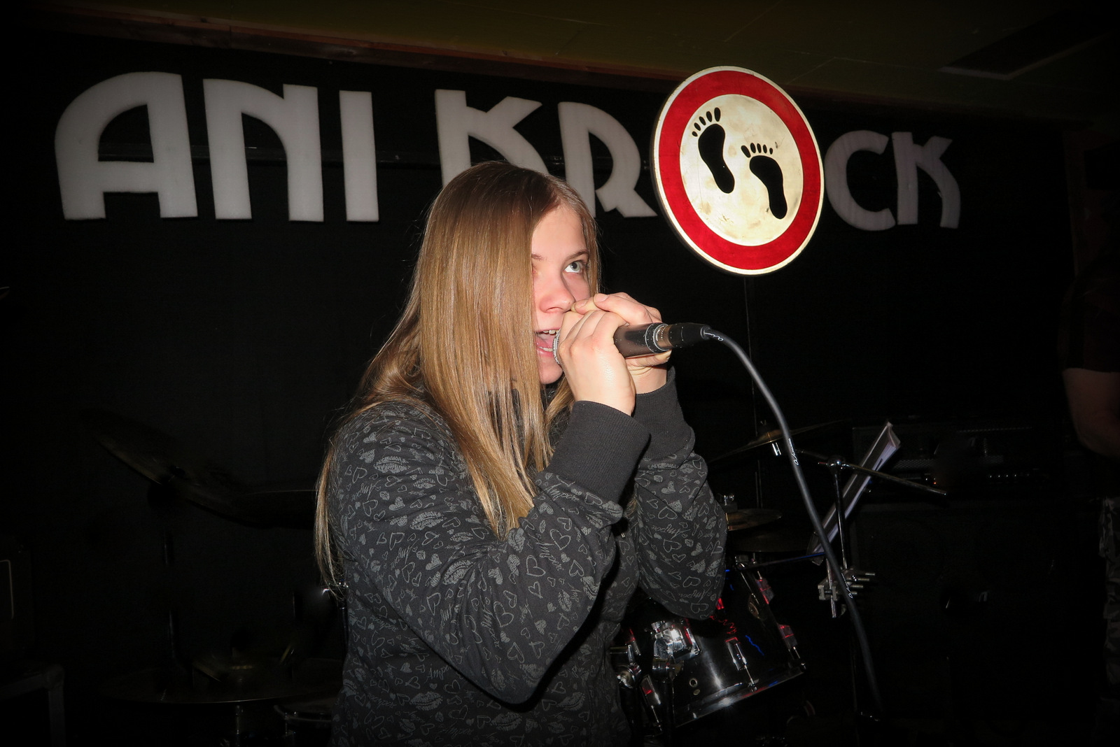 ani_krock_silvestr_004.JPG