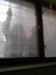 DSCN5539.JPG