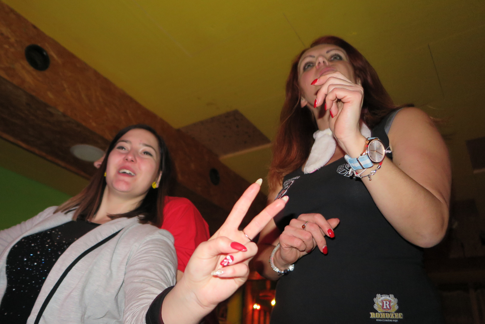 ani_krock_silvestr_071.JPG